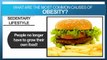 What Really Causes Obesity?