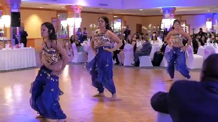 پاکستانی لڑکیوں نے لندن شادی میں‌ دھوم مچا دی