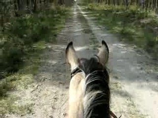 Photo 049