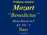 Mozart KV 192 Benedictus   Bass