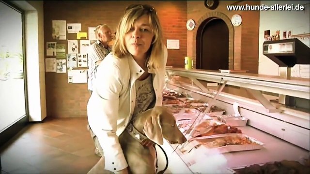 BARF für Hunde Hundefutter Metzgerei Meiritz in Neuss