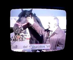 IRIIP - caratteristiche e prospettive future del MURGESE