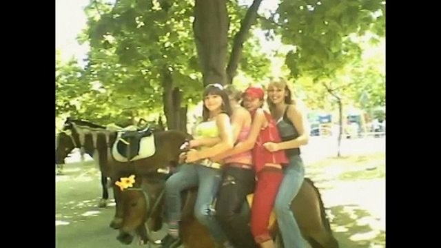 Городской прокат лошадей ( Покатушки)