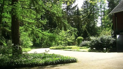 Imagefilm Bestattungsinstitut Bornemann