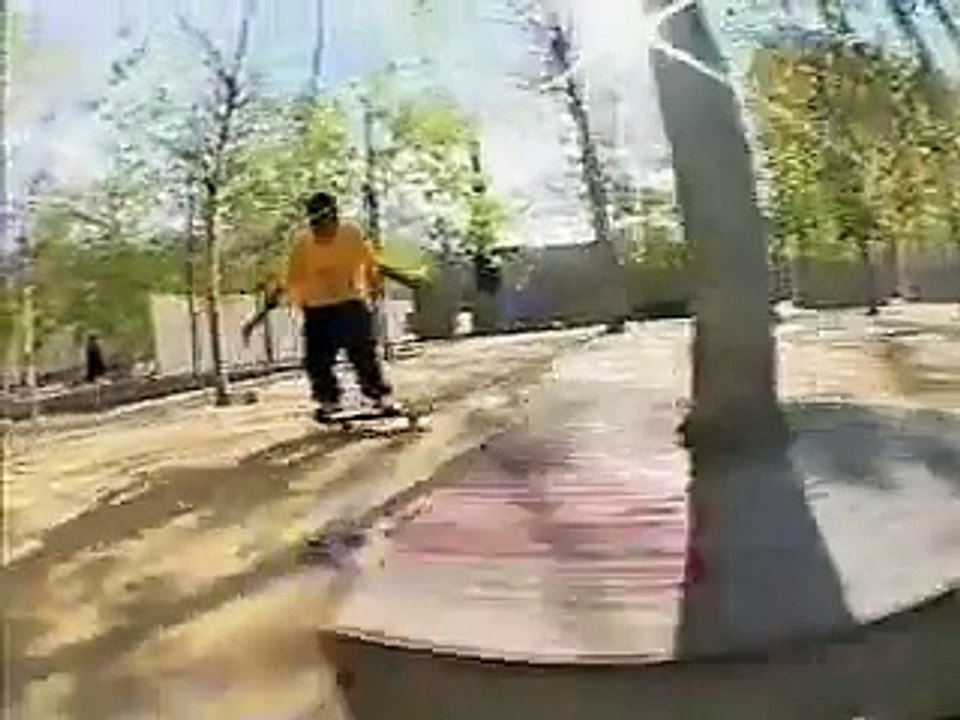 Rodrigo TX -  DGK ALL DAY