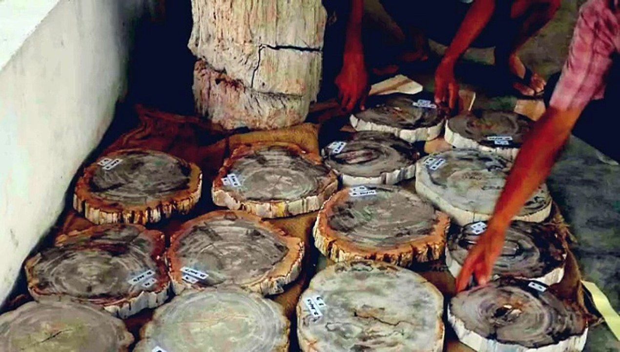 INDOGEMSTONE PETRIFIED WOOD FURNITURE