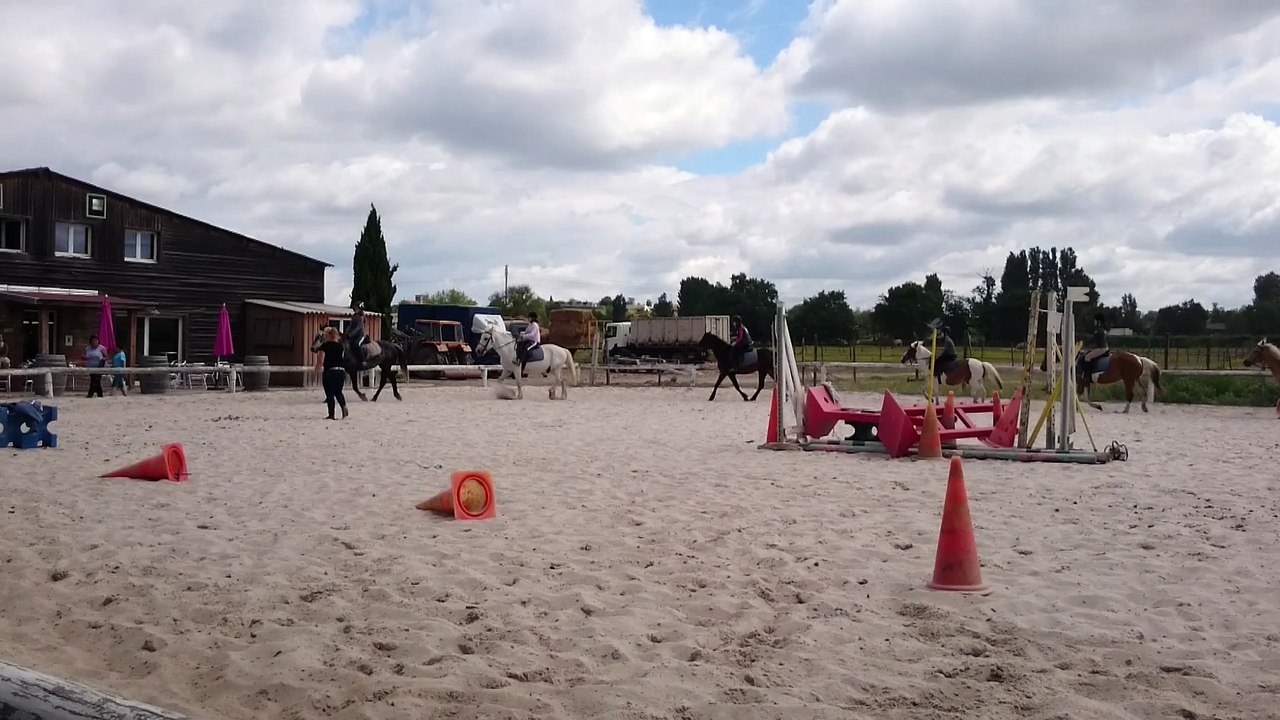 Poney