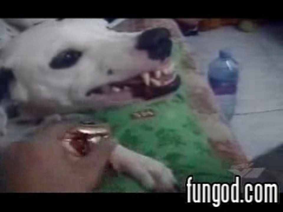 Don't touch my beer