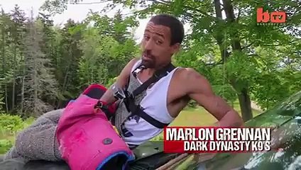 Le chien, meilleur ami de l'homme