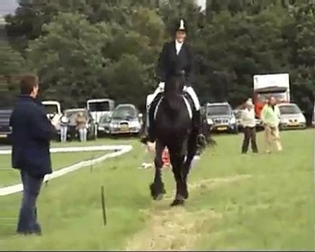 Friese Hengst Hannes L2 Dressuur in Oldeholtpade