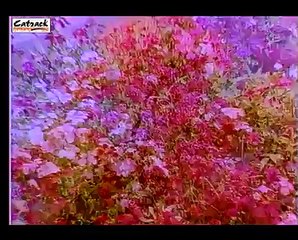 MAMLA GADBAD HAI - Gurdas Maan