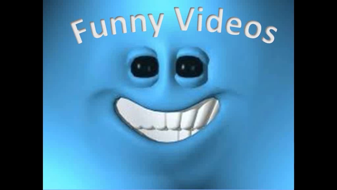 Funny video - monkey trolled