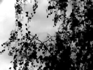 Henk van Ulsen leest gedichten van J.W. Oerlemans, M. Vasalis en J. Bernlef