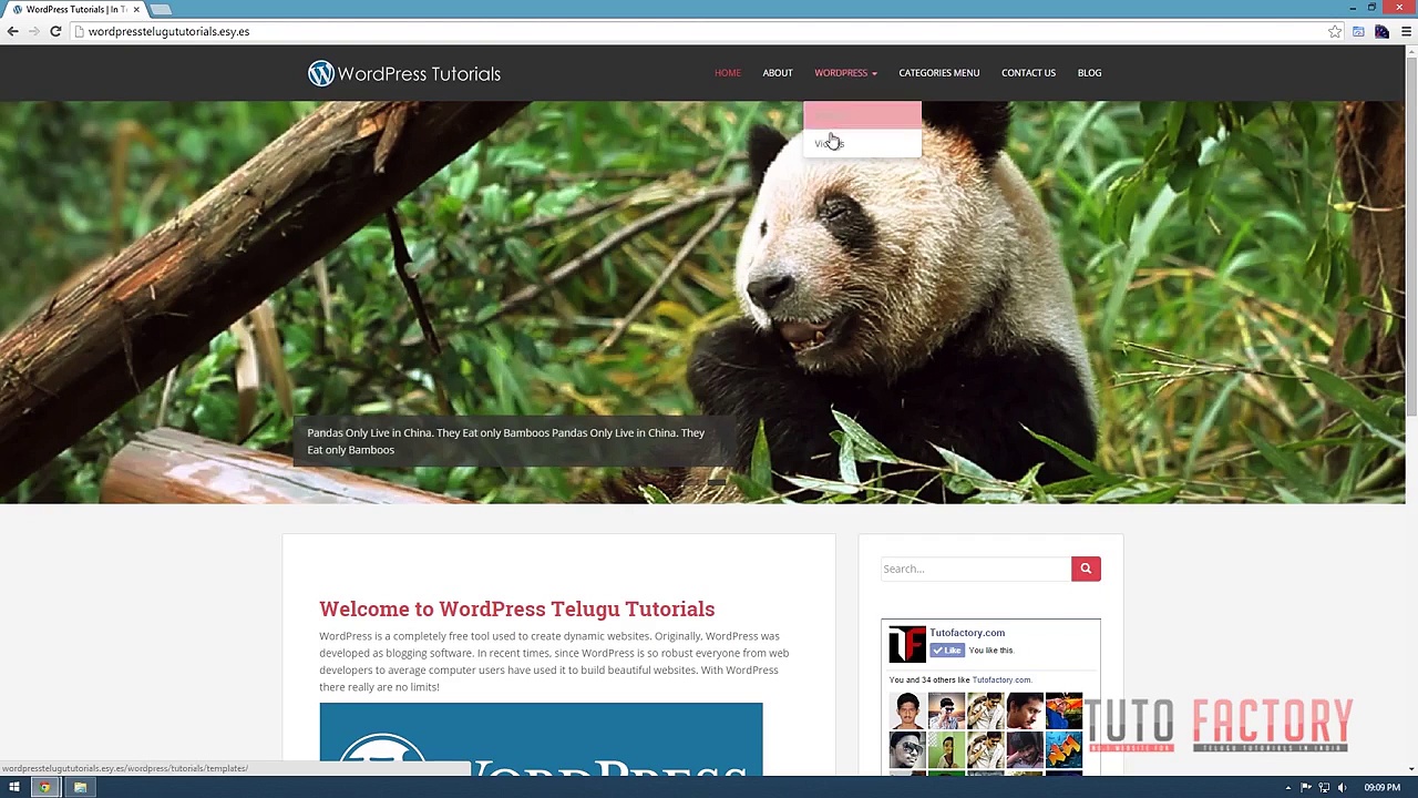 WordPress Telugu Tutorials