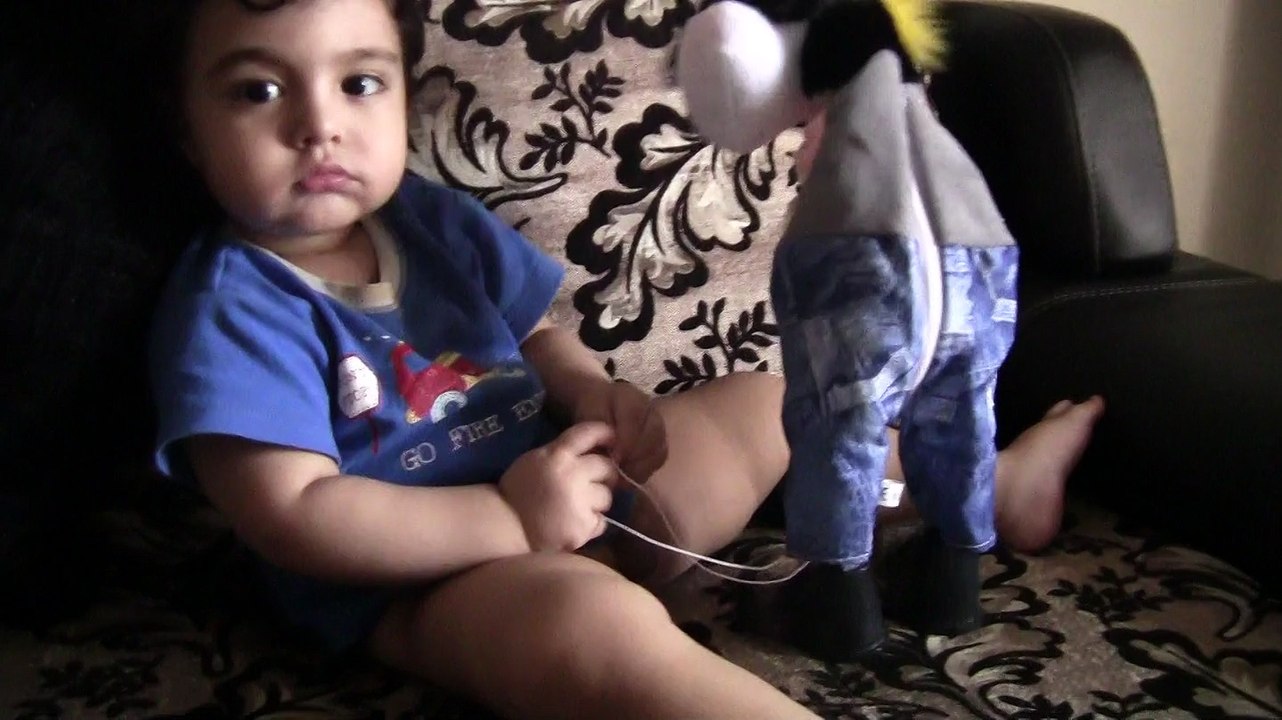 layan and abudy
