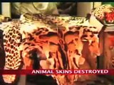 animal trafficking in malaysia