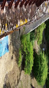 Escapade en Champagne-Ardenne saut à l'élastique France Bleu Champagne-Ardenne