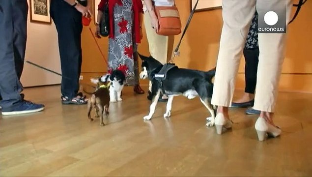 Berlin : une exposition de peinture canine ouverte aux chiens