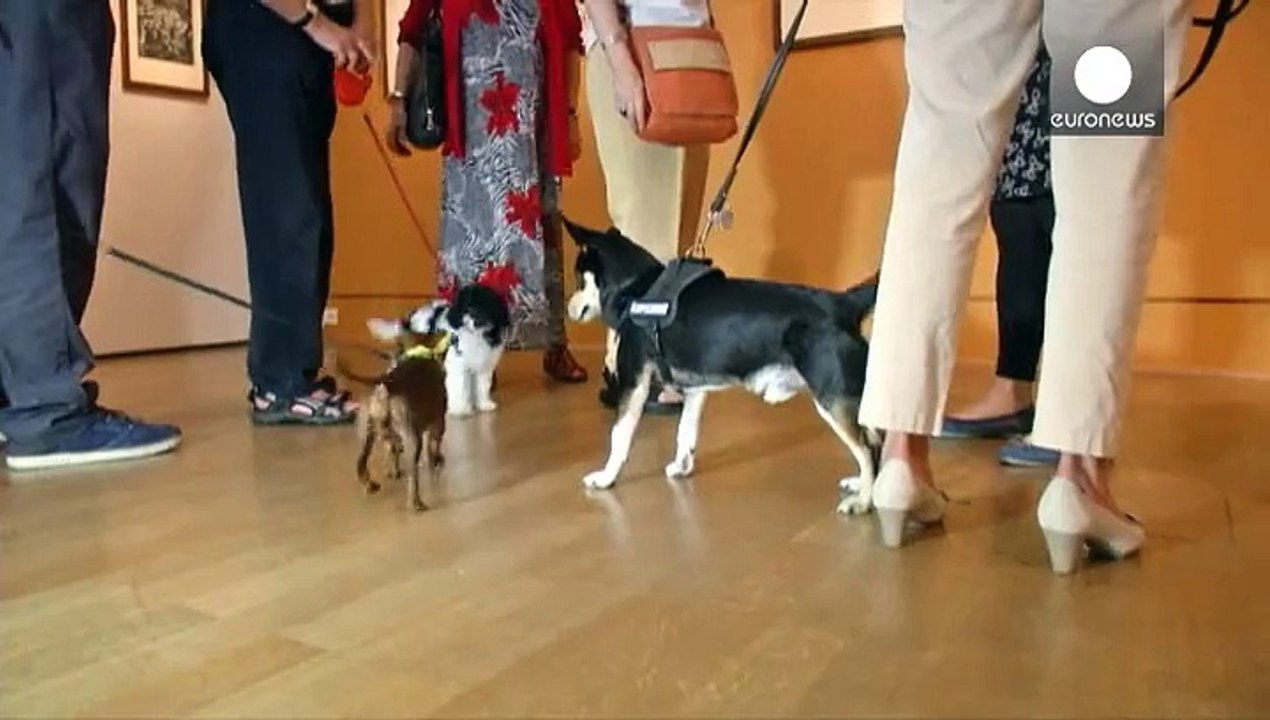 Hund trifft Hund im Museum