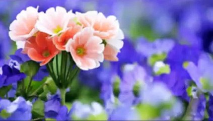 Saath Nibhana Saathiya Episode 1488 - 28th July 2015