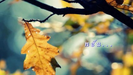 Nếu chỉ còn một ngày để sống - Nhiều ca sĩ