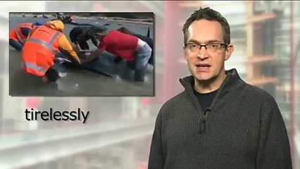 BBC Learning English_ Video Words in the News_ New Zealand whales (22nd January 2014)-copypasteads.com