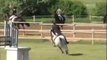 FEI Jumper AND Dressage Pony For Sale