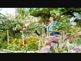 NINO BRAVO Un beso y una flor (VIDEO)