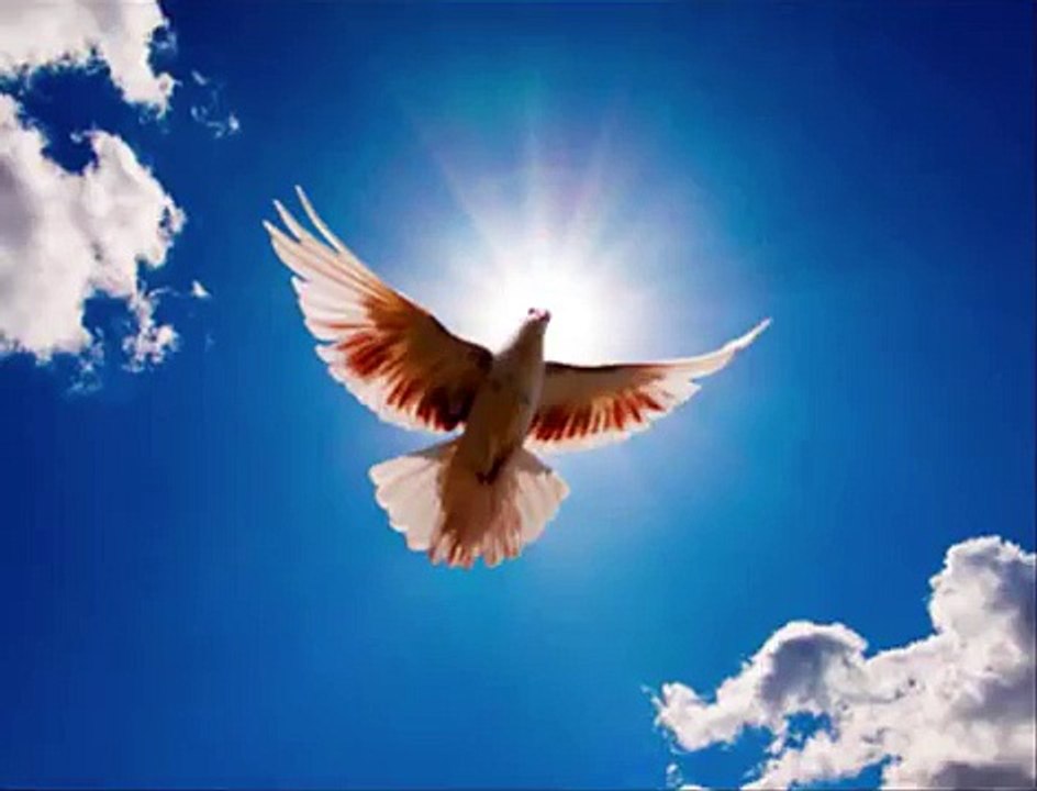 Adorons-L'Eternel - Saint Esprit (R.I.P Papa Alain Moloto)