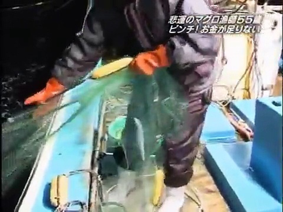 Maguro 090325-01