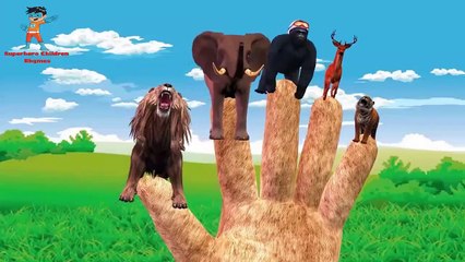 Animals Finger Family Cartoon Nursery Rhymes For Children | Finger Family Rhymes For Kids