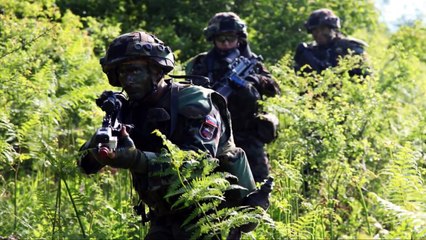 Sabaton - The Art of War (Slovenian Armed Forces)