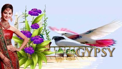 GYPSY  COLLECTION
