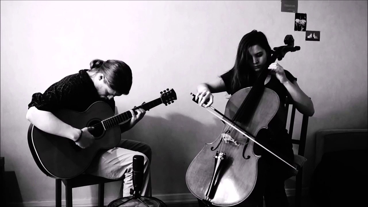 Vidabreve - Erinis