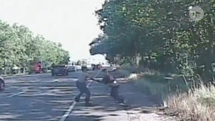 Renegade Skateboarder Brawls With Cop, Doctor, Firefighter