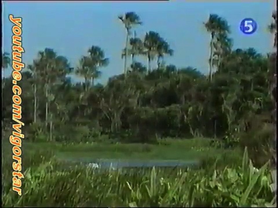 Retro TV: La 5 - Le monde des animaux: L'hippopotame pygmée (excerpt)