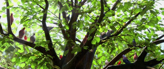 "Le Petit Prince", un nouvel extrait dévoilé