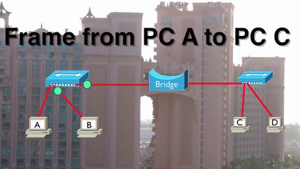 52.Lesson 3 Switch Operation