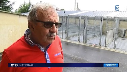 Explosion du nombre d'abandons d'animaux cet été