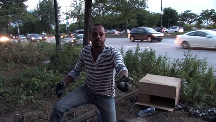 White Rats Rescued From West Side Highway
