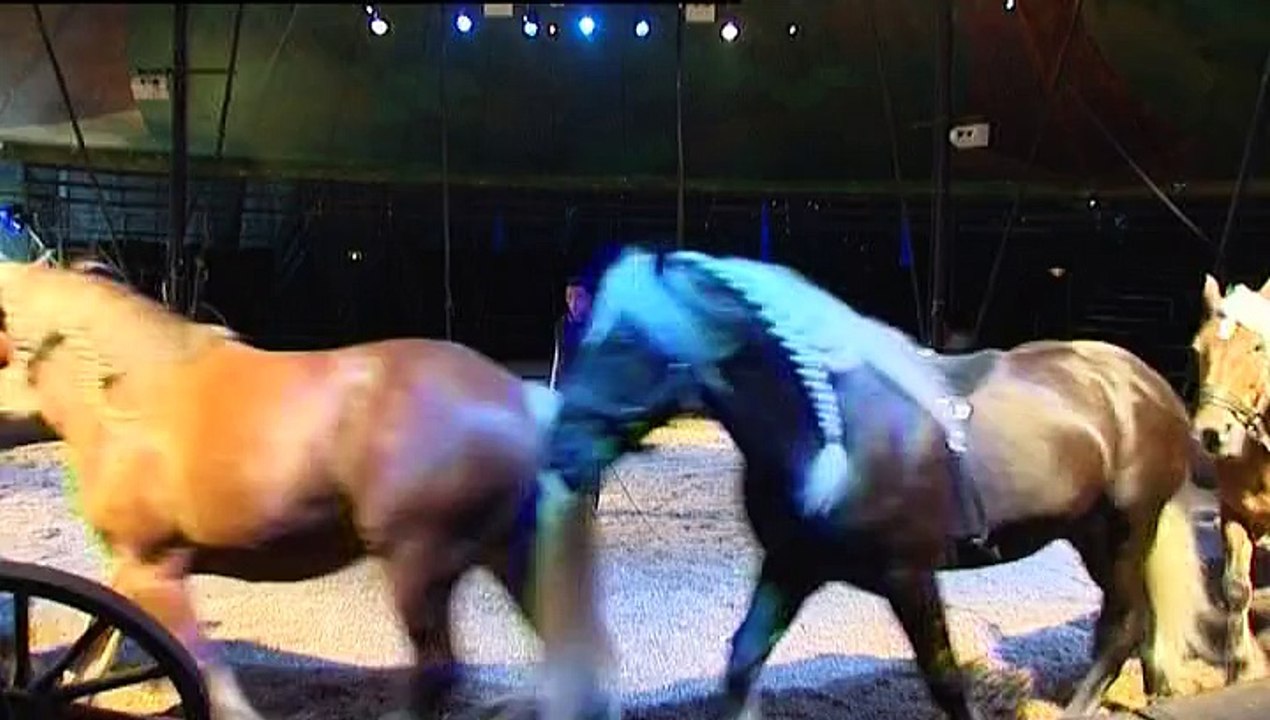 "Cavale", un spectacle équestre aux haras de Hennebont