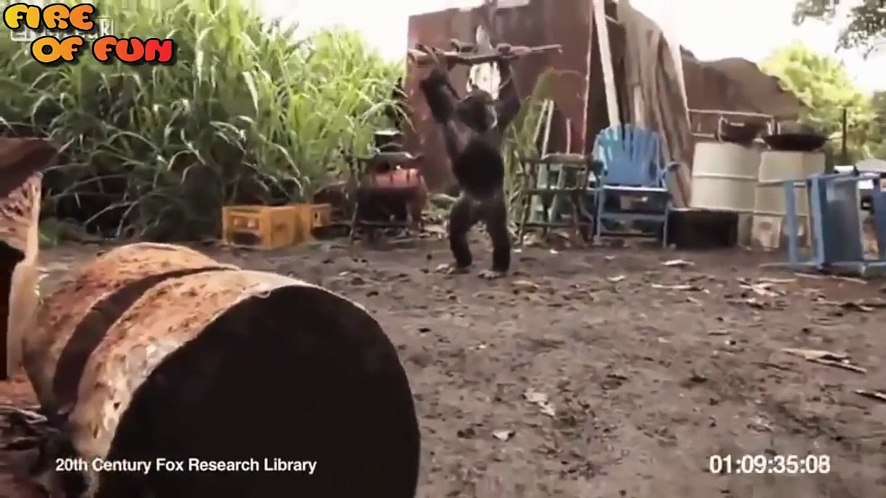 Funny Videos Stupid people doing stupid things (HD)