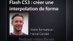Tutoriel Adobe Flash CS3 : Créer une interpolation de forme | video2brain.com