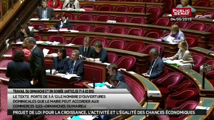 Projet de Loi macron relatif au travail dominical et en soirée - En séance