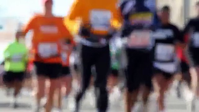 Seals ( music & sound effects )