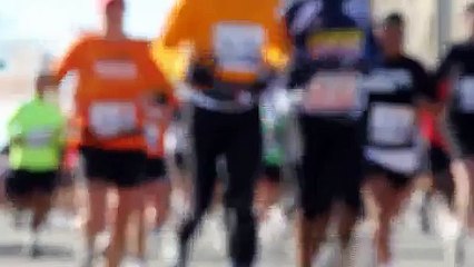 Seals ( music & sound effects )