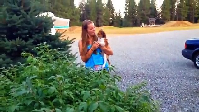 I Write Sins Not Tragedies Music Video