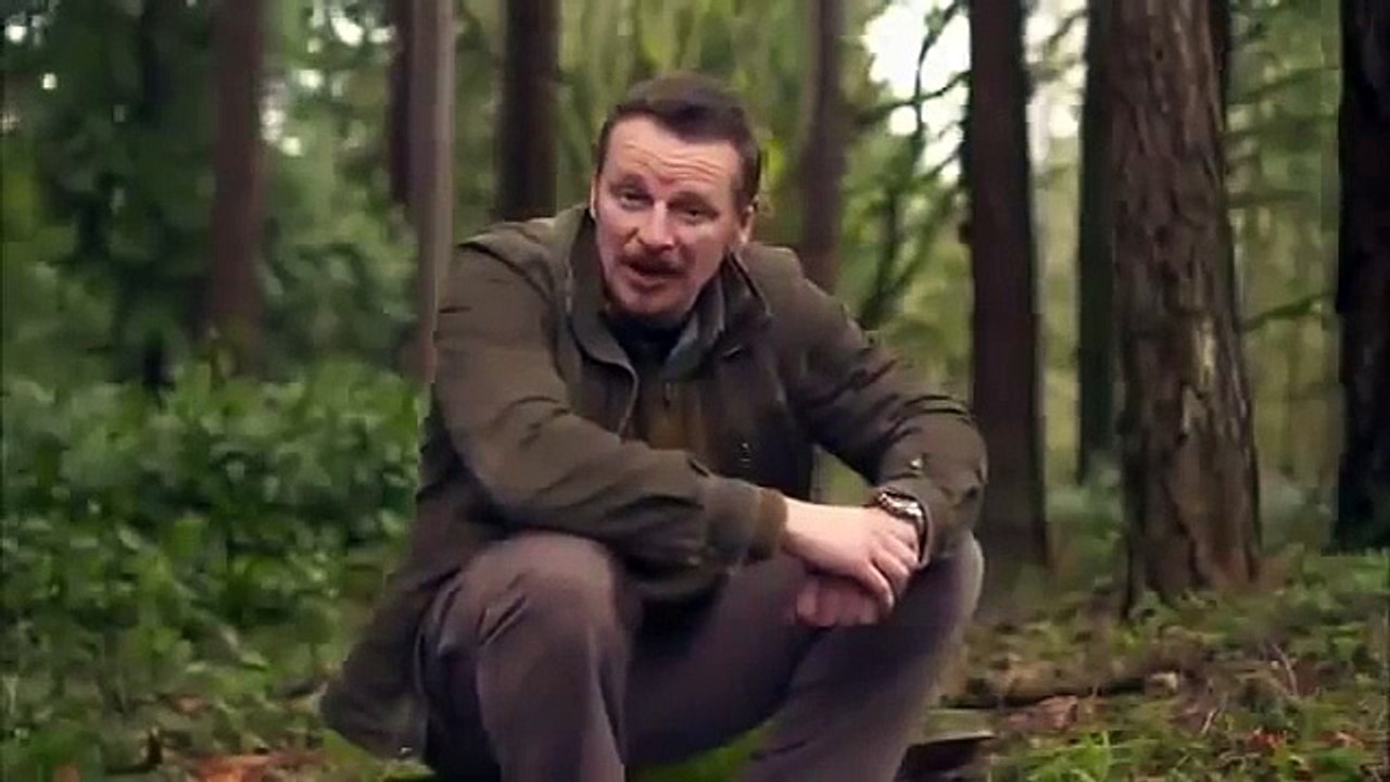 Discovery Channel Animals   Discovery Channel Documentary   Bear Documentary 2015 HD