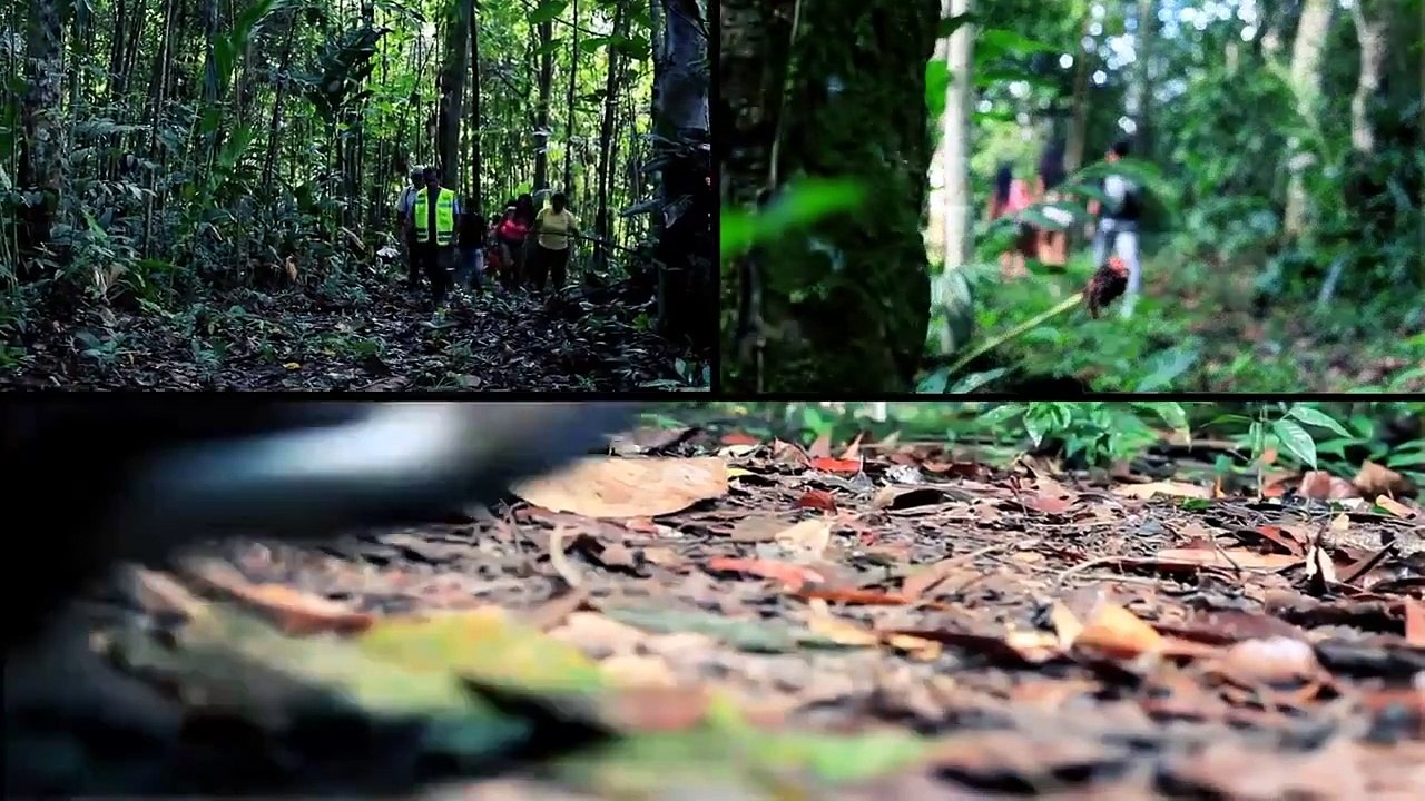 Laguna de Los Milagros - Aucayacu  www.marcatingomaria.info