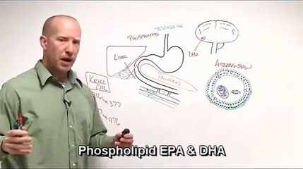 Fish Oil vs Krill Oil